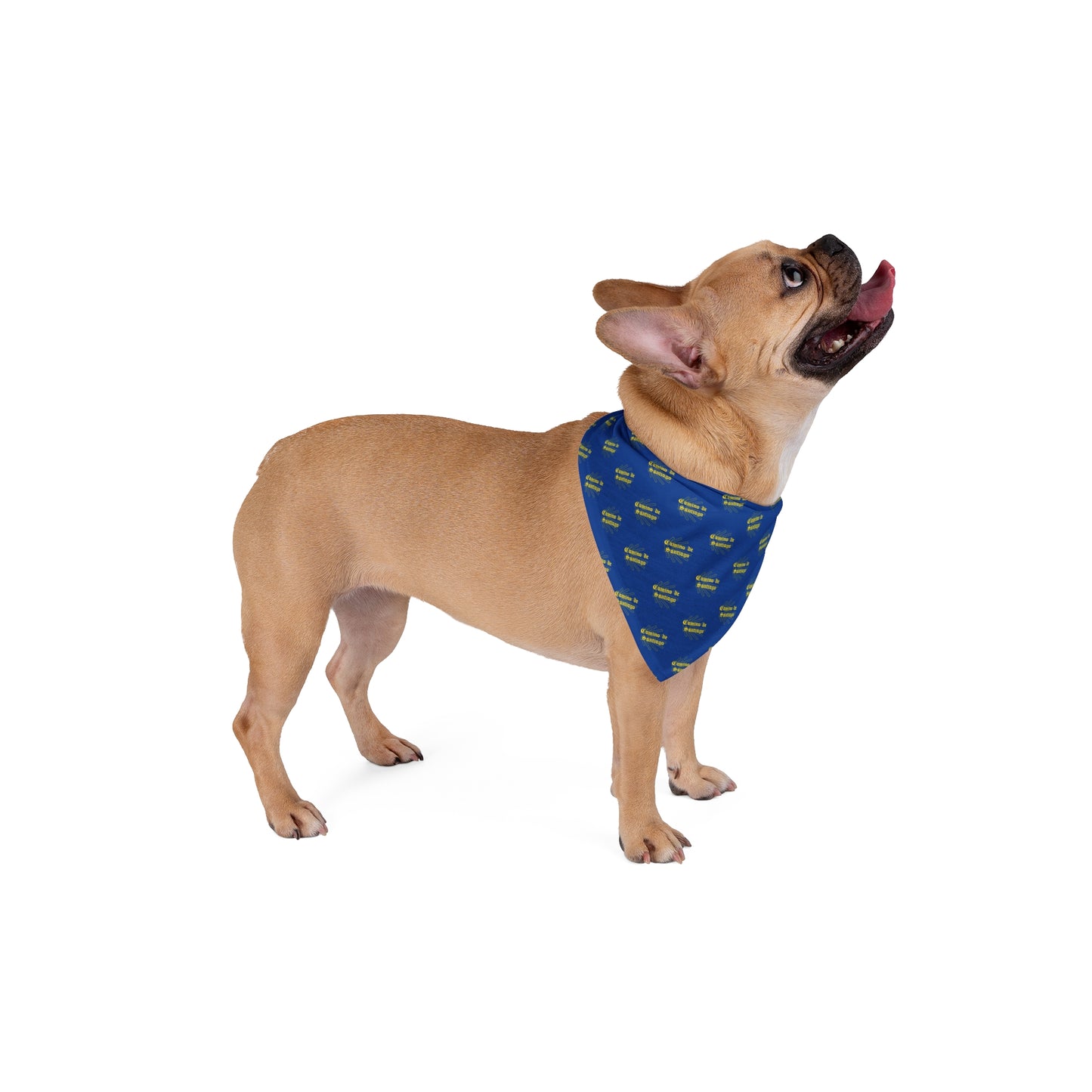 Camino de Santiago Pet Bandana, de Compostela, Gift for Pilgrim Dog